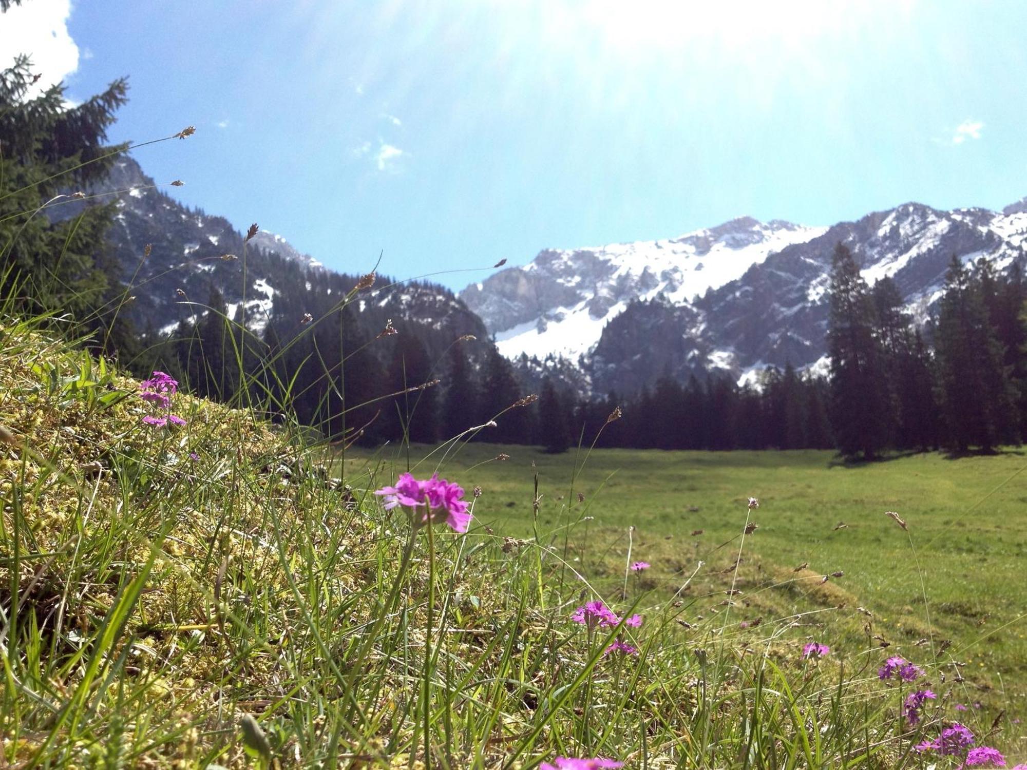 Haus Claudia * Reutte